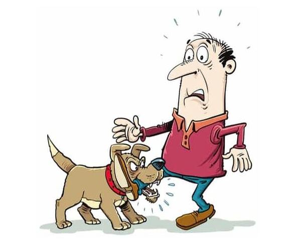 ભત્રીજાના શ્વાને કાકા પર કર્યો હુમલો