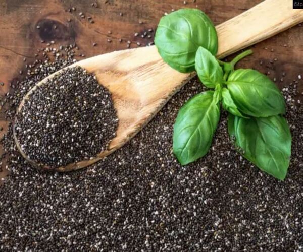 ગરમીમાં શરીરને ઠંડુ રાખે છે આ કાળા બીજ