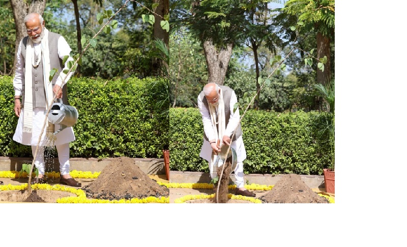 'મન કી બાત'માં મોદીએ કરી સરાહના