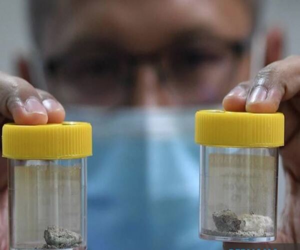 વ્હેલની ઉલટી અંગે શું કહે છે રિસર્ચ?