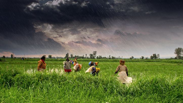 સારો વરસાદ અને ઉત્તમ ખેતી રહેશે