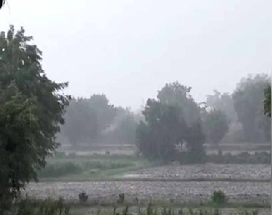 ગુજરાતના 3 જિલ્લામાં કમોસમી વરસાદની શક્યતા