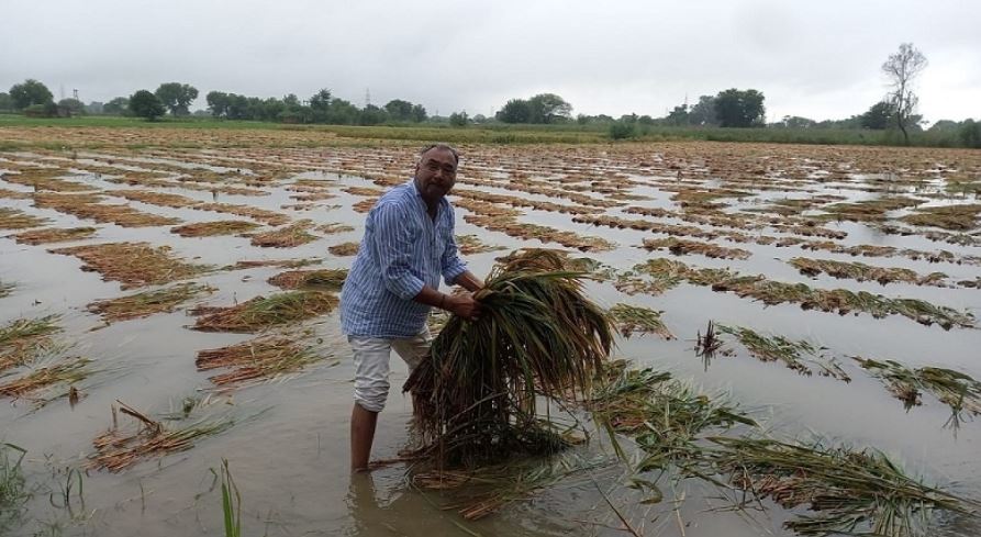 ક્યાં સુધી રહેશે ઉનાળામાં ચોમાસાનો માહોલ?