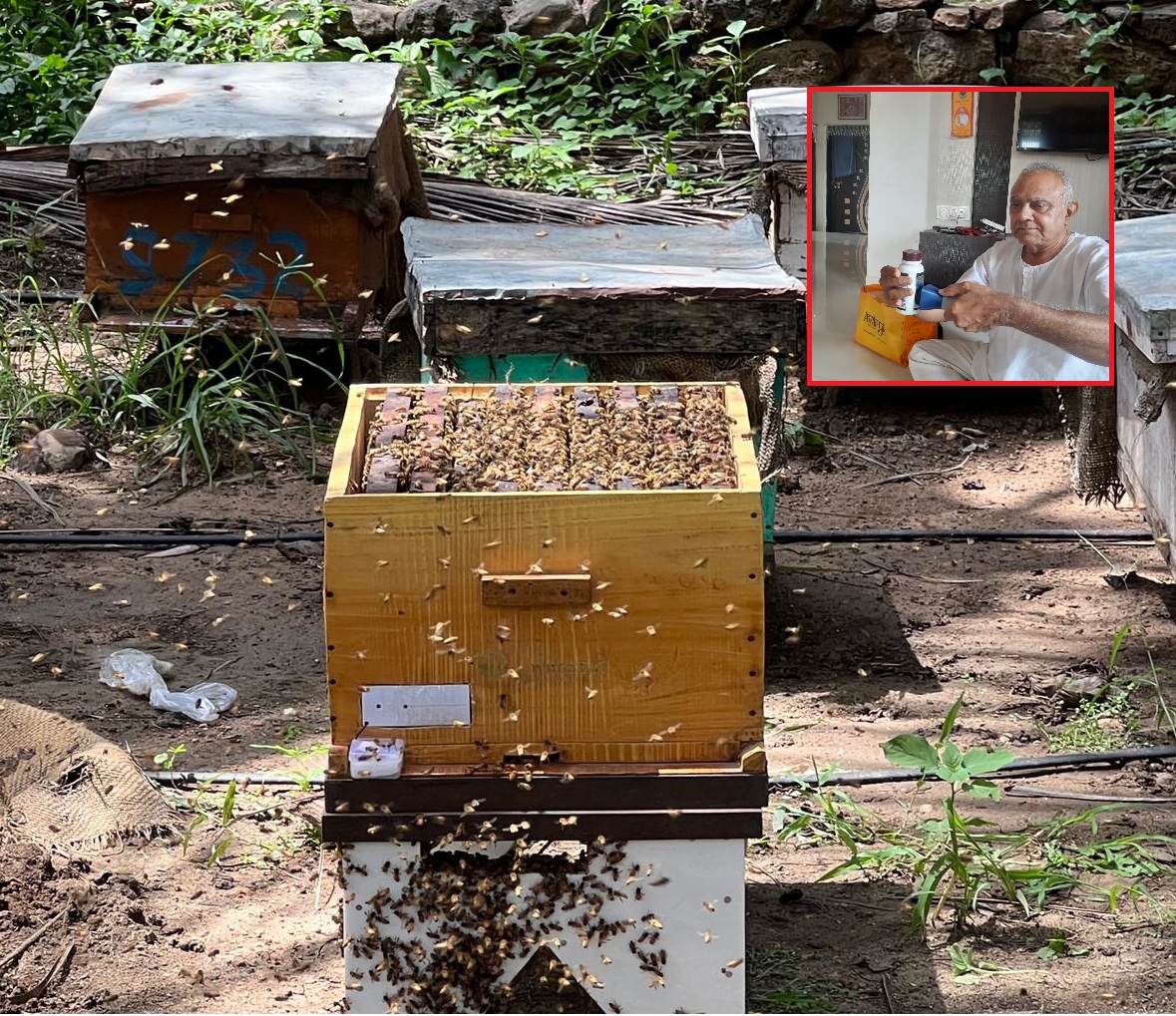 વેદોમાં કહેવાય છે મધને ‘વાહિની