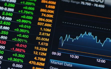 રોકાણ પર નફો નહીં, ઠગાઈ મળી