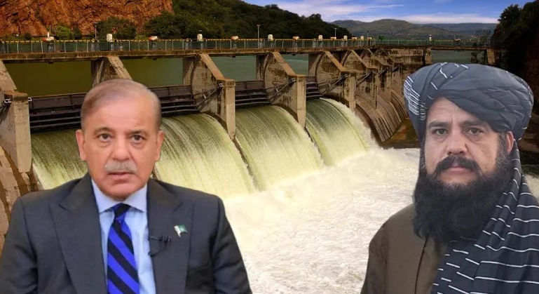 ભારત પછી હવે અફઘાનિસ્તાને પાકિસ્તાનને આપ્યો મોટો ઝટકો