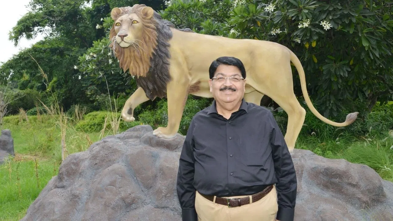 સિંહોની ગણતરી કરવા ખુદ મેદાનમાં ઉતર્યા રાજ્યસભા સાંસદ!