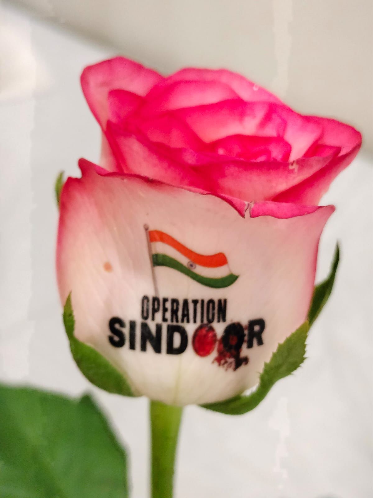 ભૂજના એક પરીવારે ફૂલ પર કંડારી ઓપરેશન સિંદૂરની સફળતાની કહાની