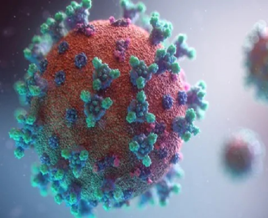 પહેલા મળી ચૂક્યા છે ત્રણ કેસ