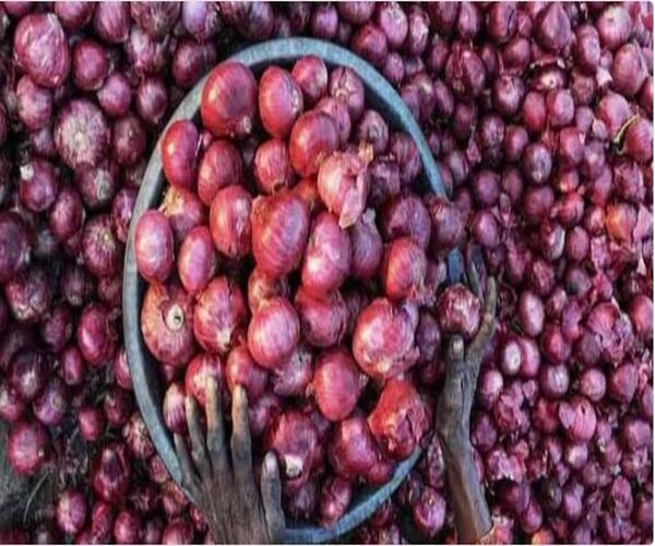 ફરી વધશે ડુંગળીના ભાવ?