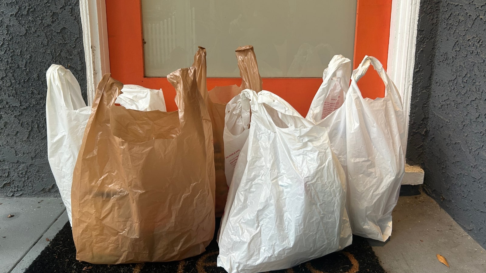 પ્લાસ્ટિક પ્રદૂષણને કઈ રીતે હરાવી શકાય?