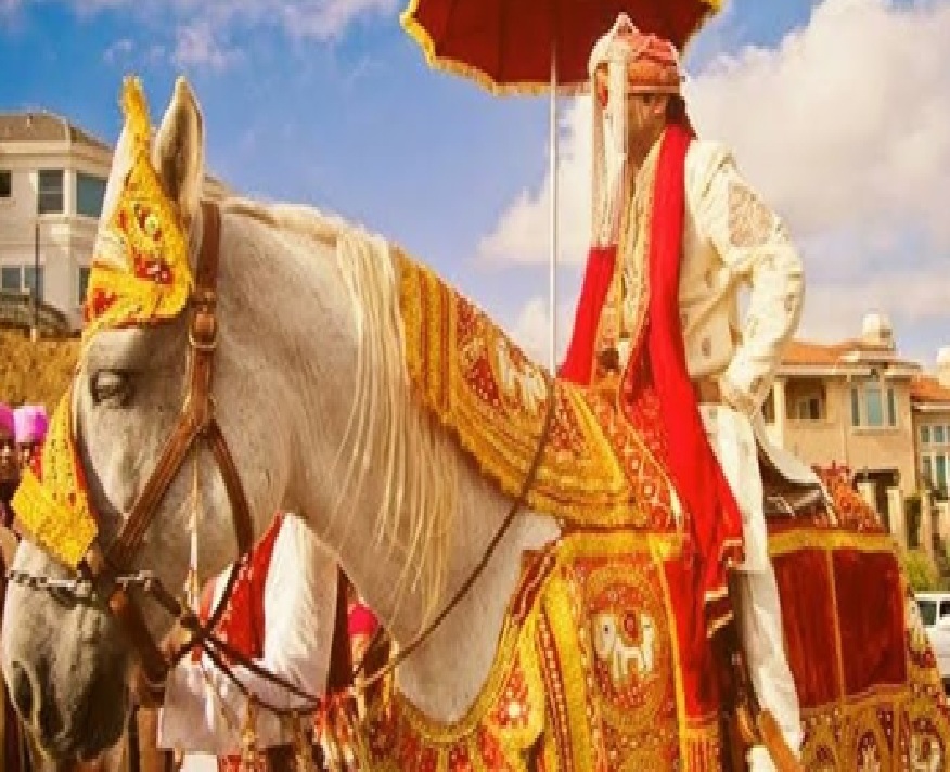 લગ્નના વરઘોડામાં શખ્સે યુવકને છરીના ઘા ઝીંક્યા!