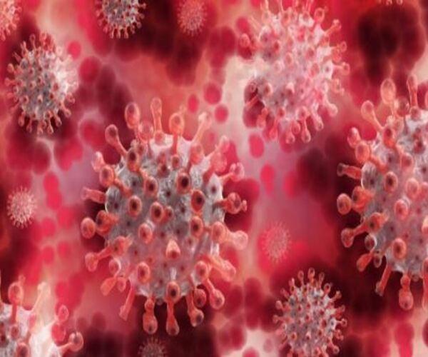 સતત વધી રહ્યાં છે કોરોનાના કેસ