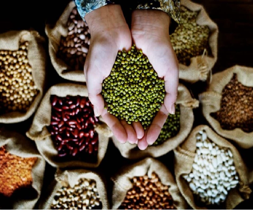 રોગ-જીવાતના વ્યવસ્થાપન માટે આટલું જરૂર કરો