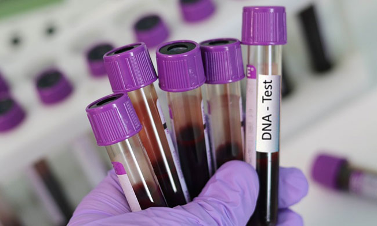 અત્યાર સુધી 231 DNA મેચ