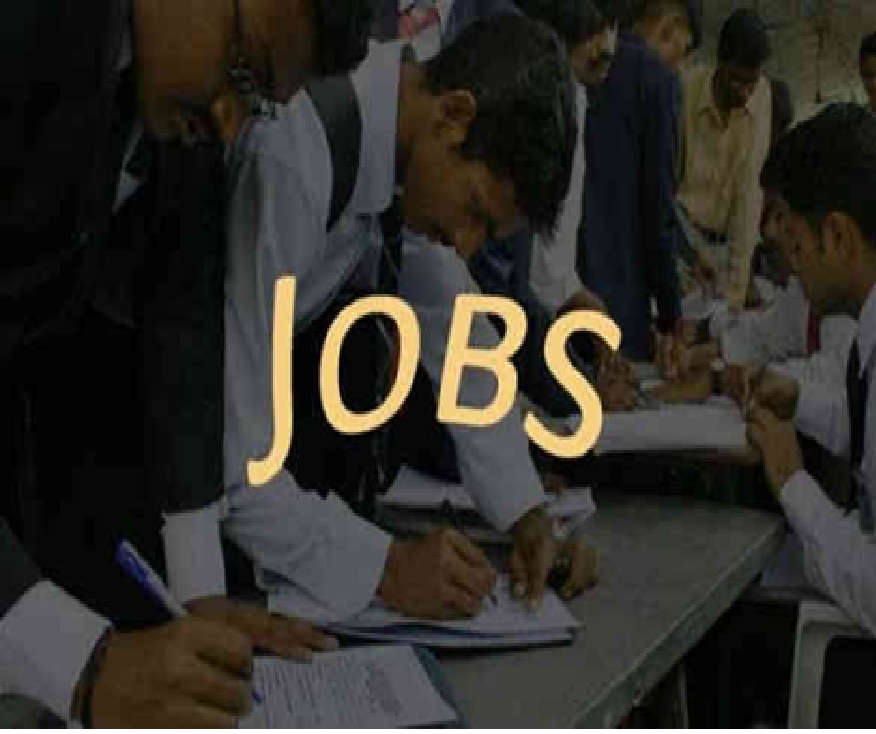 છેલ્લા 5 વર્ષમાં યોજાયેલા ભરતીમેળા-રોજગારીના આંકડા જાહેર