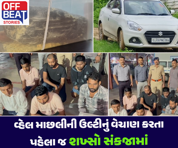 વડોદરામાંથી ઝડપાઈ વ્હેલ માછલીની ઉલ્ટી