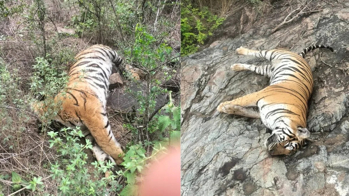 ઝેર અપાયું હોવાની  શંકા