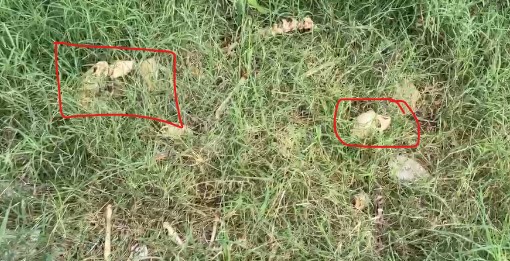 ડિફેન્સ વિભાગની જમીન પર કંકાલ મળી આવતા અફરાતફરી