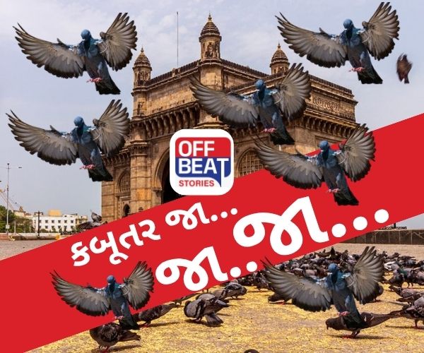 કબૂતરખાના પર પ્રતિબંધ લગાવનાર BMC દેશની પહેલી મહાપાલિકા બની!