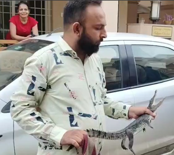 વડોદરા નજીક મગરનું રેસ્ક્યુ