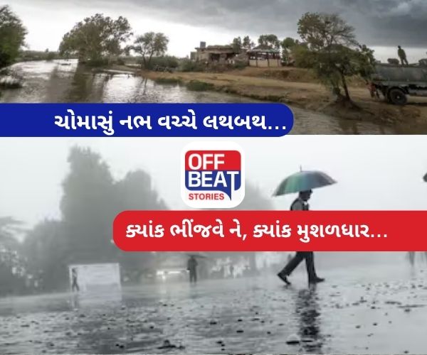 ગુજરાતમાં વરસાદનું જોર યથાવત