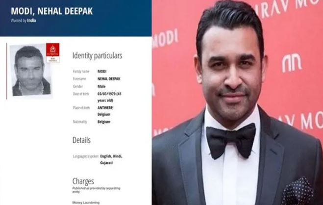નીરવના ભાઈ નેહલ મોદીની અમેરિકાથી ધરપકડ