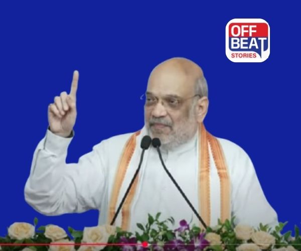 'જો કેજરીવાલે જેલ ગયા પછી રાજીનામું આપ્યું હોત તો...'