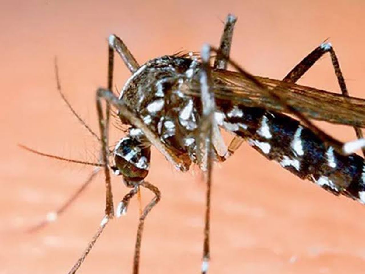 અમદાવાદમાં ચોમાસું આવતાની સાથે જ રોગચાળો વકર્યો