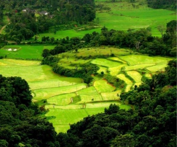 શું તમે પણ પ્રકૃતિ પ્રેમી છો?