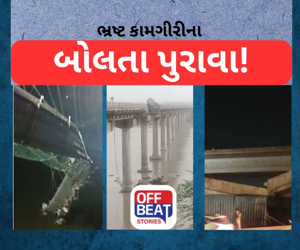 ગુજરાતમાં 2003થી આજ સુધીમાં આટલા પુલ થયા 'કડડભૂસ'?
