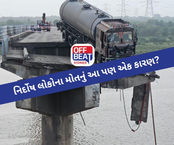 Gambhira bridge collapse ; ધ્રુજતો પુલ અને ટોલ ટેક્સની ચોરી!