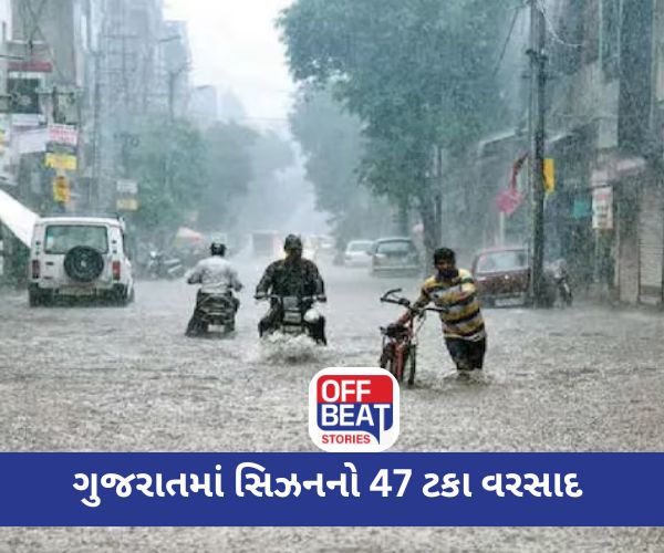 ગુજરાતમાં ધમધોકાર વરસાદ