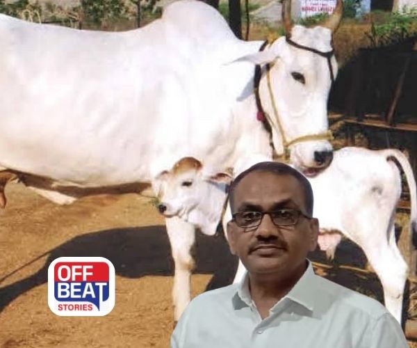 “ડગરી” ગાય મુદ્દે છેડાયો વિવાદ?