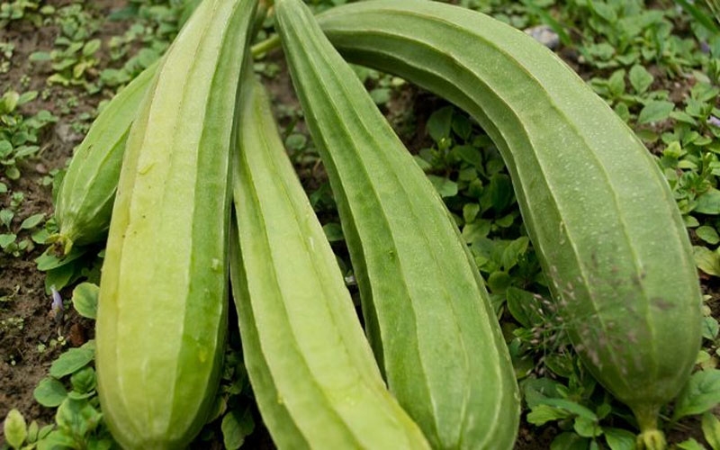 લીવર અને કિડનીને બનાવવા માંગો છો મજબૂત