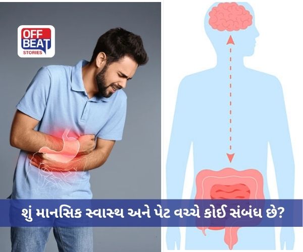 શું માનસિક સ્વાસ્થ અને પેટ વચ્ચે કોઈ સંબંધ છે?