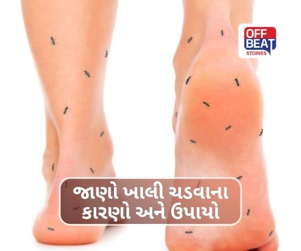 હાથ અને પગમાં વારંવાર ચડી જાય છે ખાલી?