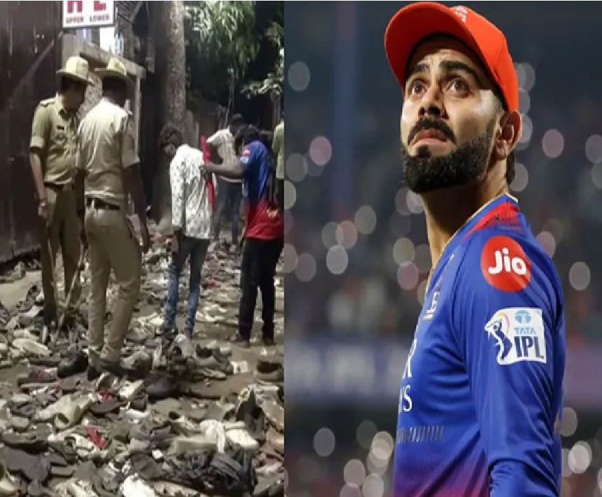 હાઈકોર્ટમાં રજૂ કર્યો રિપોર્ટ