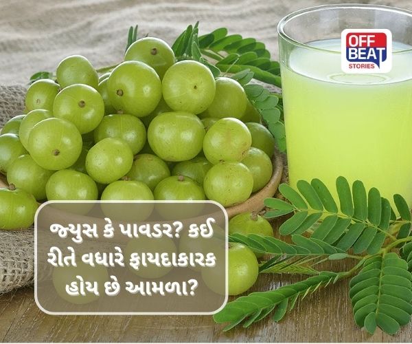જ્યુસ કે પાવડર? કઈ રીતે વધારે ફાયદાકારક હોય છે આમળા?