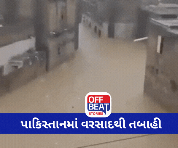 VIDEO:પાકિસ્તાનમાં તબાહી