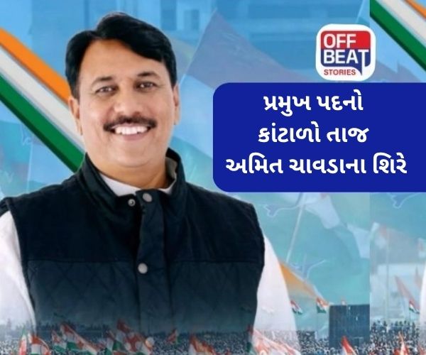 VIDEO: અમિત ચાવડાએ ગુજરાત કોંગ્રેસ પ્રદેશ પ્રમુખનો ચાર્જ સંભાળ્યો