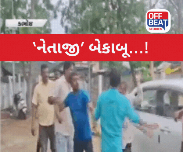 ડભોઈમાં 'નેતાજી'એ કરી છૂટાહાથે મારામારી
