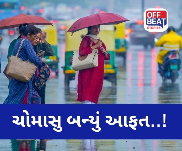 સાવધાન! ભારે વરસાદ સાથે જામ્યું ચોમાસું