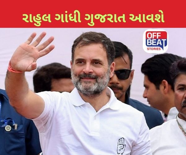 "રાહુલ ગાંધી જ્યારે ગુજરાત આવે ત્યારે ભાજપને ફાયદો થાય છે"