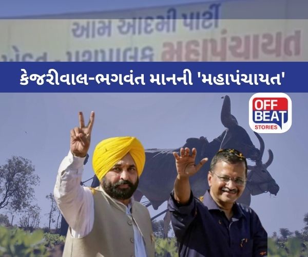 મોડાસામાં કેજરીવાલ-ભગવંત માનની ખેડૂત-પશુપાલકો સાથે 'મહાપંચાયત'