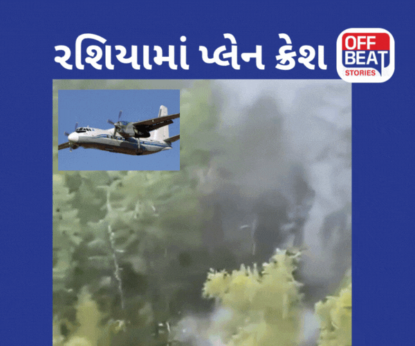 Plane Crash Video વધુ એક પ્લેન ક્રેશ
