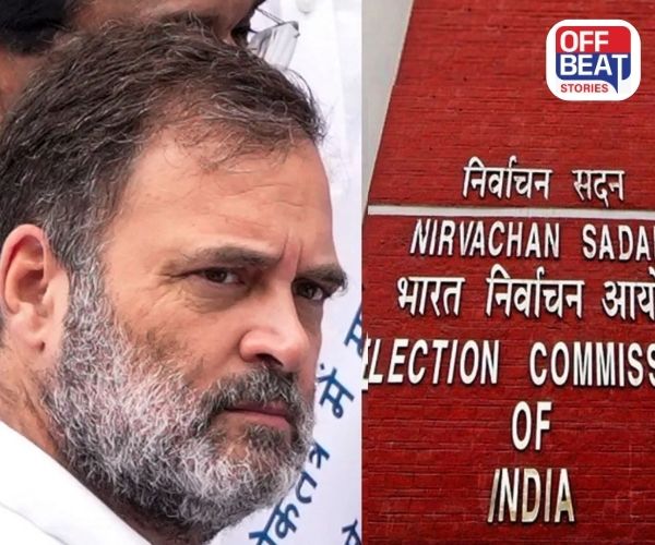 ''...100% પુરાવા, તમે બચી શકશો નહીં''