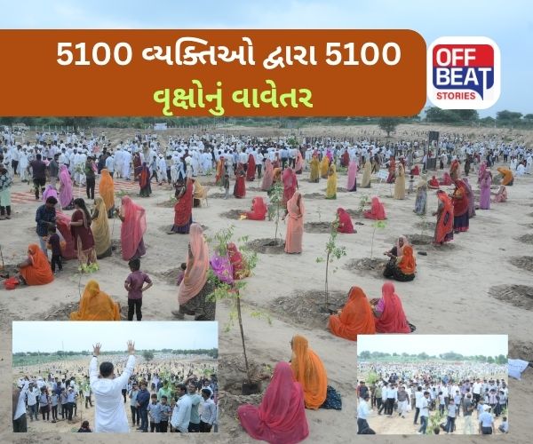 Banaskantha માં હરિયાળી ક્રાંતિ!