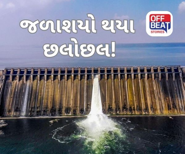 Gujarat Rain Update ચોમાસાની જમાવટ