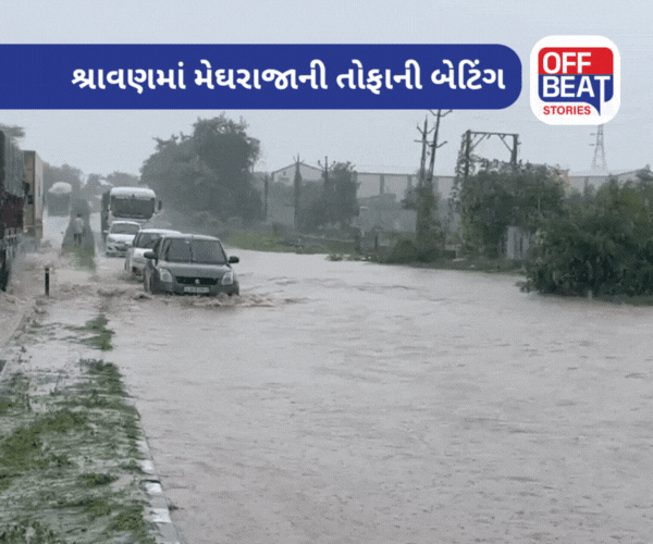 Gujarat Rain 24 કલાકમાં 181 તાલુકામાં મેઘરાજાની સટાસટી